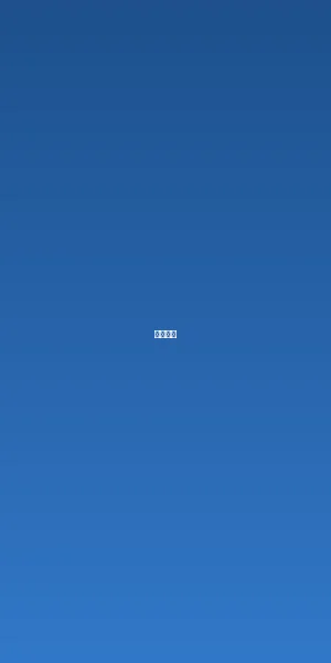 捷克街头应用功能展示界面